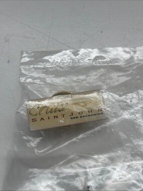 CRUISE ST JOHN vtg early 2000’s souvenir pin (still in original package)